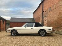 TRIUMPH STAG