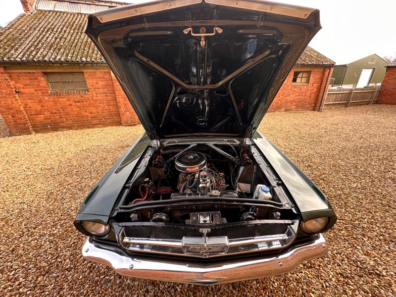 FORD MUSTANG
