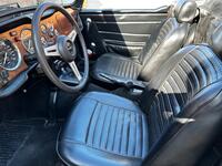 TRIUMPH TR6