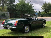 AUSTIN HEALEY FROGEYE SPRITE