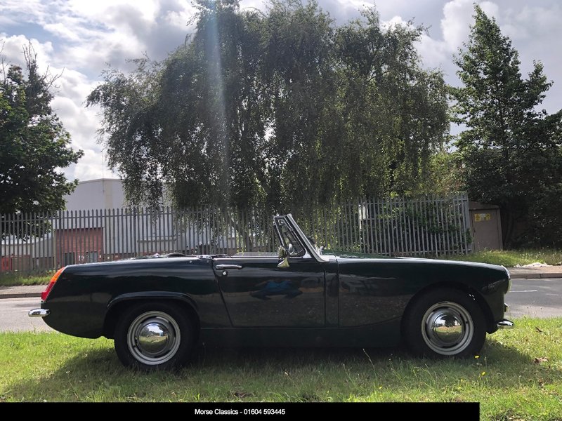 AUSTIN HEALEY FROGEYE SPRITE