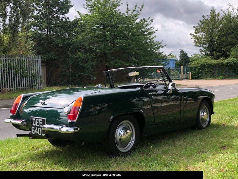 AUSTIN HEALEY FROGEYE SPRITE