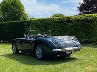 AUSTIN HEALEY 3000