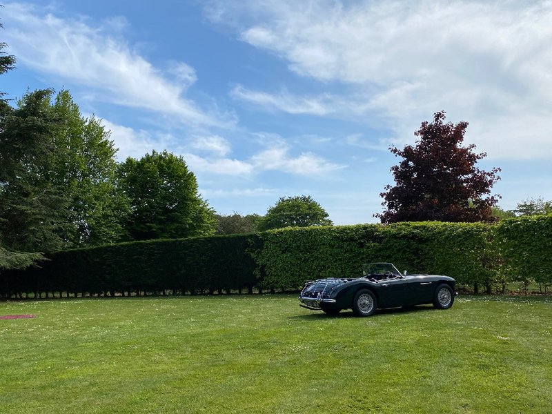 AUSTIN HEALEY 3000