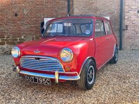 AUSTIN MINI