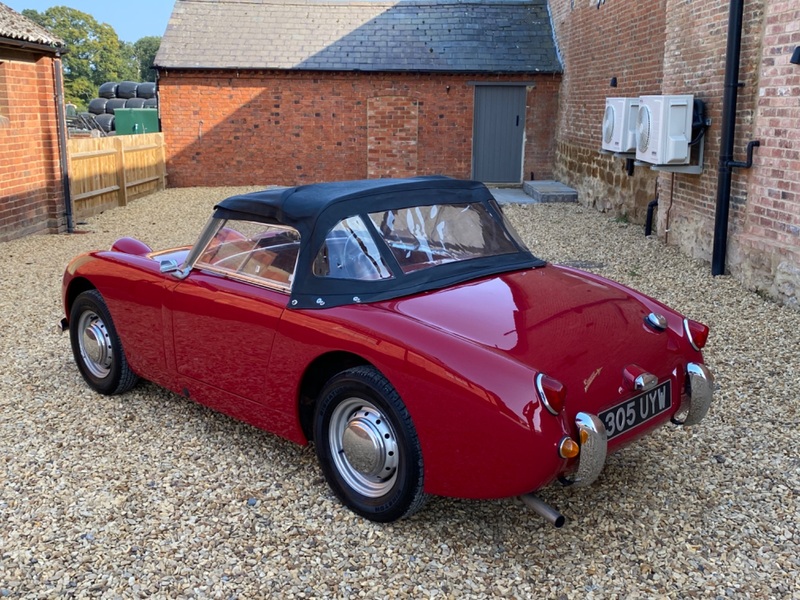 AUSTIN HEALEY FROGEYE SPRITE