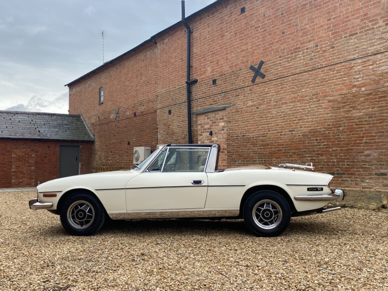 TRIUMPH STAG