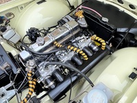 TRIUMPH TR6
