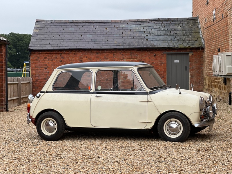 MORRIS MINI