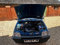 ROVER METRO